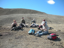 working in the field